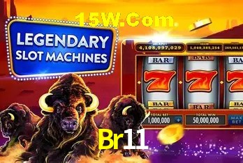 Security Systems Br11